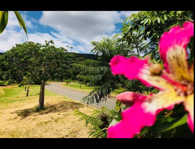 1,030M² VACANT LAND FOR SALE IN WIGWAM